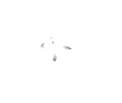 mango ai darbs 20251221 152801